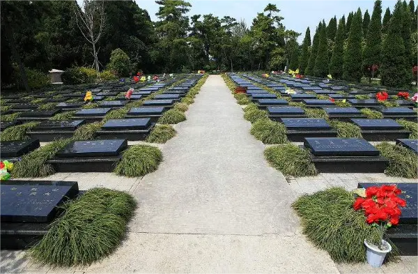 如何处理上海公墓的墓地续租问题？