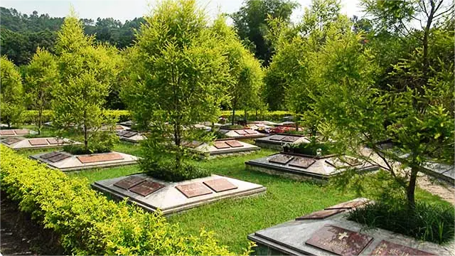 上海公墓是否提供墓地保养服务？