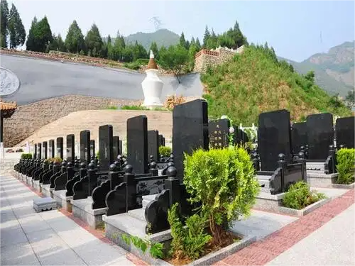 如何确保上海公墓的合法性和信任度？